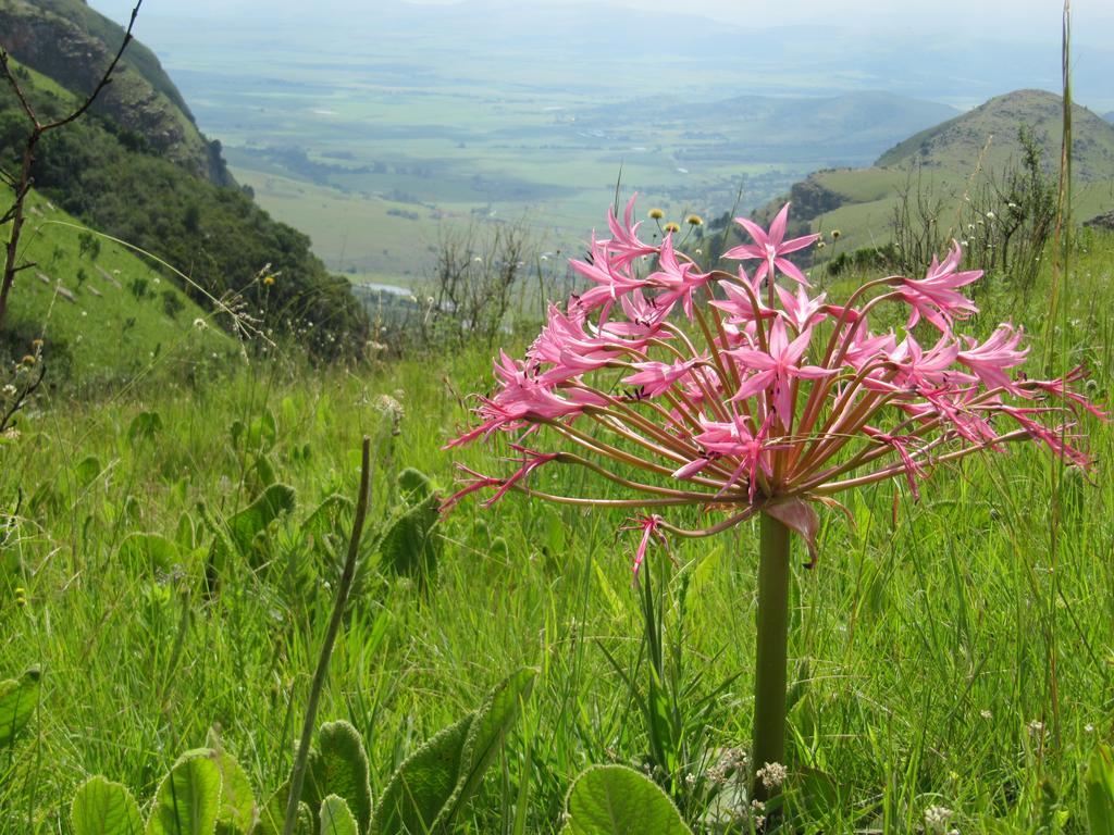 Verlorenkloof Дълстроом Екстериор снимка